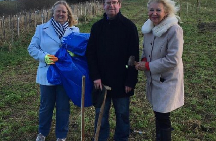 Anne,Alistair & Carol